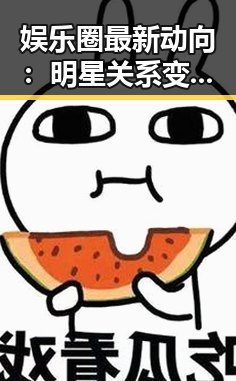 娱乐圈最新动向：明星关系变迁与幕后风云
